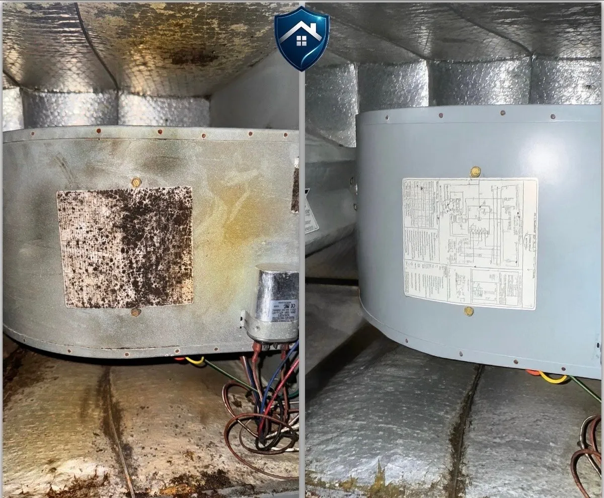 Clean air duct after service
