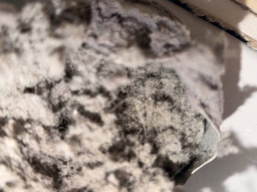 Residential dryer vent in Cary shown full of lint before cleaning and clear after the full run was cleaned