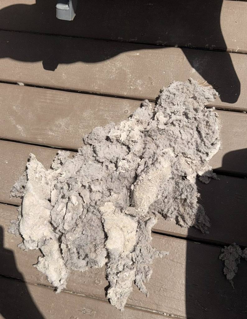Lint cleared from a long attic dryer vent run in a 27613 northwest Raleigh, NC home